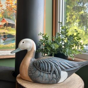 Zavori Mold Duck